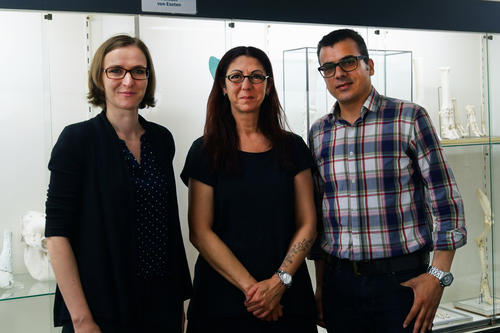 Constanze Bönig, Mahtab Bahramsoltani und Salah Al Masri (v.l.n.r.) entwerfen einen Online-Kurs, der geflüchtete Tierärzte dabei unterstützen soll, in Deutschland die Approbation zu erhalten.
