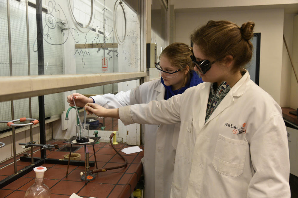 Zwei Schülerinnen extrahieren den Farbstoff, der für den Stoffbeutel verwendet werden soll, im Chemielabor der Freien Universität.