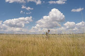 Der Syrer Maher ist der Protagonist seines Kurzfilms "Mahers Reise".