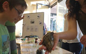 Keine Angst vor großen Tieren: Am Stand der Biologie konnten sich Besucher eine Achatschnecke über die Hände kriechen lassen.