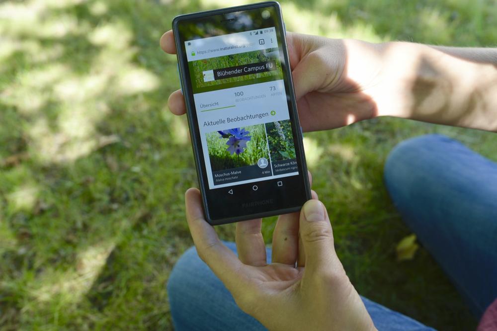 Mit der App „iNaturlist“ kann man Tiere und Pflanzen bestimmen und sie für die Forschung kartieren.