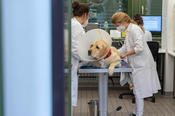 Rund um die Uhr: In der Kleintierklinik der Freien Universität stehen die medizinischen Probleme großer und kleiner Tierpatienten im Fokus.