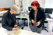 Auch die amerikanische Großschabe periplaneta americana lebt im NatLab. „Naja, die sind ja noch klein. Fauchschaben sind da schon eine andere Nummer“, konstatiert Astrid-Sabine Busse, hier im Bild mit Professorin Petra Skiebe-Corrette.