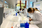 Schülerinnen und Schüler beim eifrigen Experimentieren. Es ist wichtig, dass Kinder bereits früh Interesse an Naturwissenschaften entwickeln können. Ein Schülerlabor übernimmt hier eine wichtige Aufgabe.