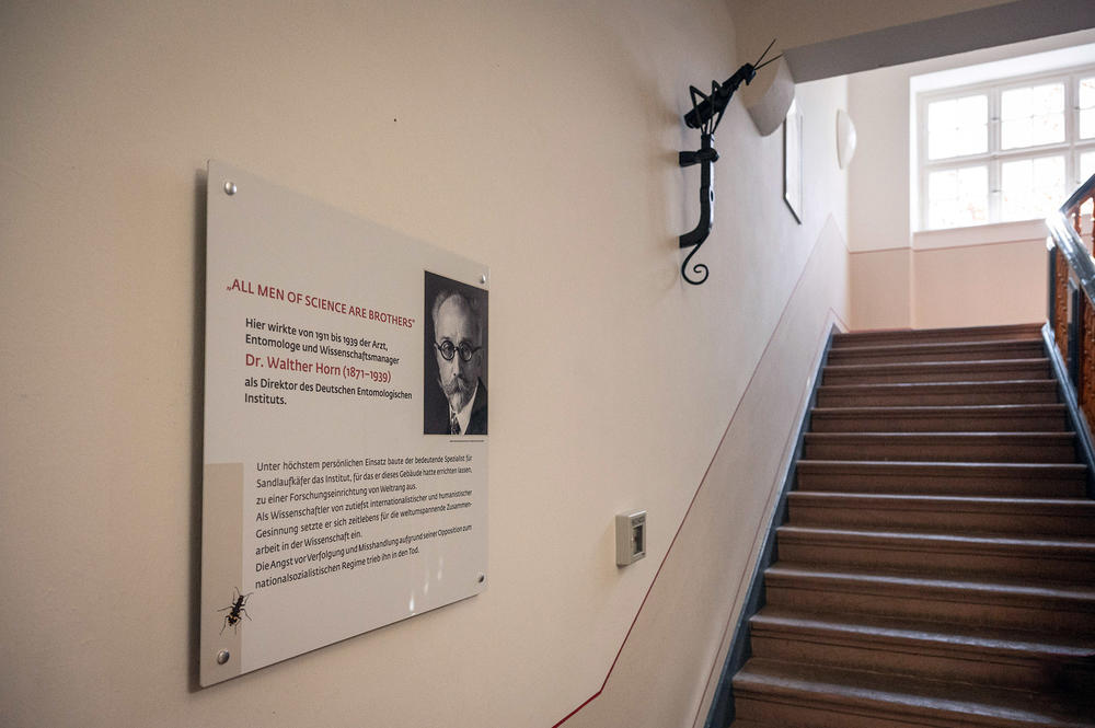 Die Gedenktafel für Walther Horn wurde von der Agentur „Museumsfreunde“ erstellt, die Gestaltung übernahm Petra Müller. Links unten ein Vertreter der Sandlaufkäfer, Horns Spezialgebiet.