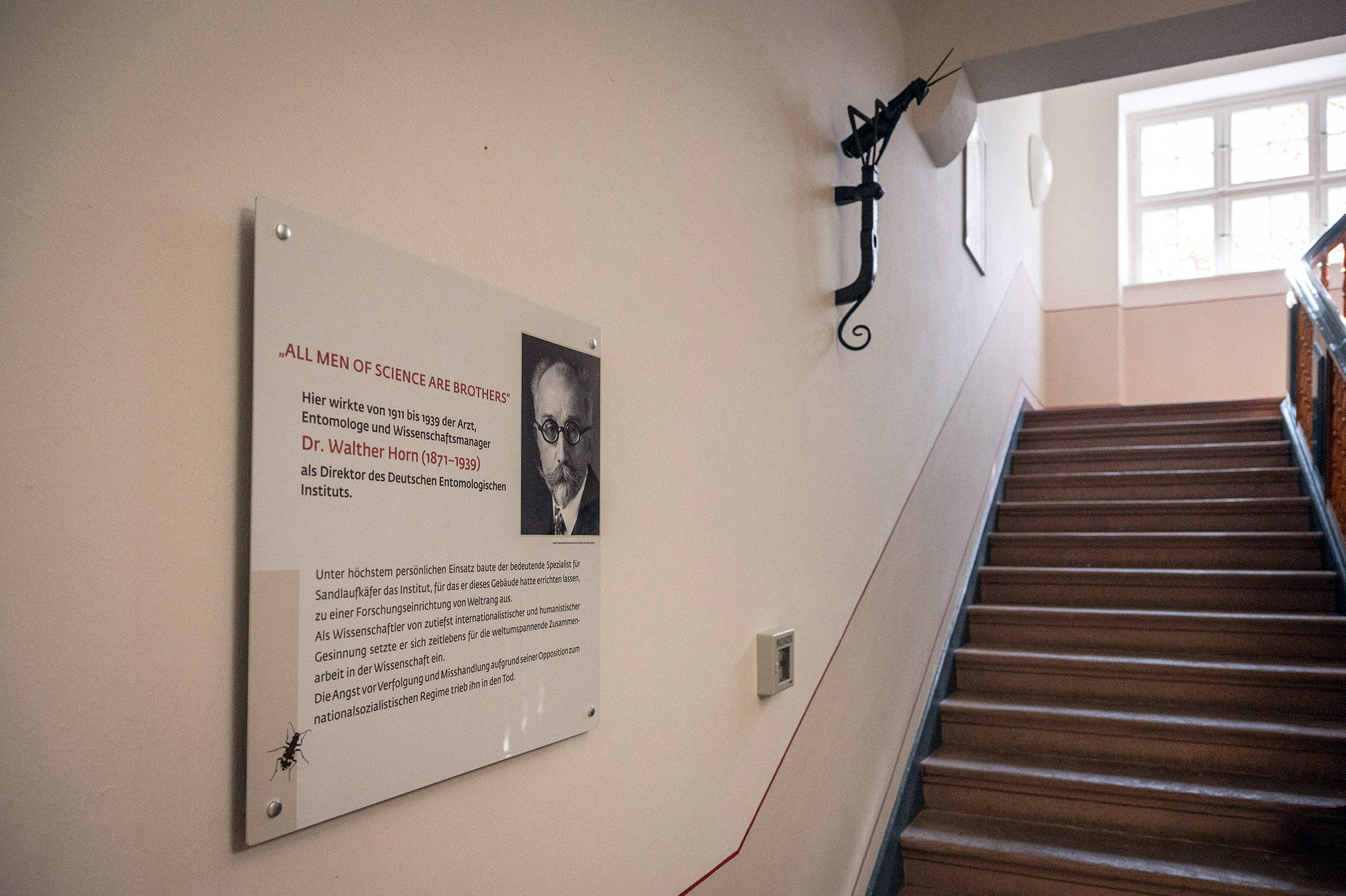 Die Gedenktafel für Walther Horn wurde von der Agentur „Museumsfreunde“ erstellt, die Gestaltung übernahm Petra Müller. Links unten ein Vertreter der Sandlaufkäfer, Horns Spezialgebiet.