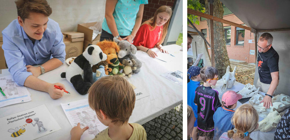 Die Rallye war wie immer ein Renner beim Tag der Offenen Tür – unter anderem konnten die Kids anhand von Schädeln raten, um welches Tier es sich handelt.