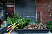 Zucchini, Mangold, Kartoffeln: Beim Ernten kommt so einiges zusammen.