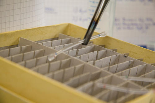 Die etwa fünf Zentimeter langen Plastikschläuche; Verpackung für die RNA-Moleküle