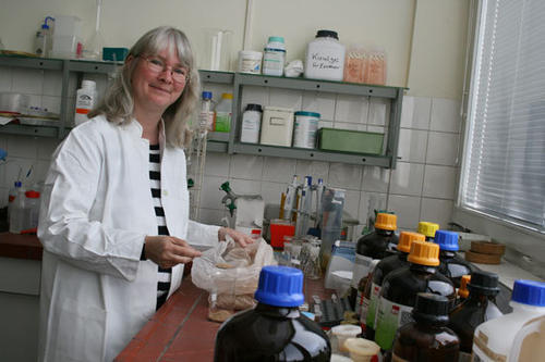 Pharmazeutin Kristina Jenett-Siems untersucht die chinesische Heilpflanze „Cynomorium songaricum“ auf ihre Struktur und Wirksamkeit.