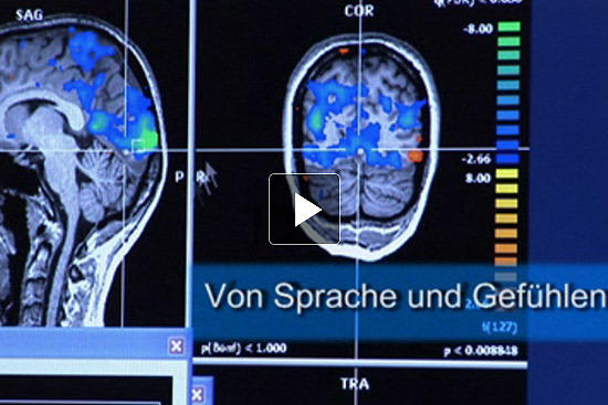 Das Videoporträt der DFG bietet einen Einblick in die Arbeit des Exzellenzclusters Languages of Emotion