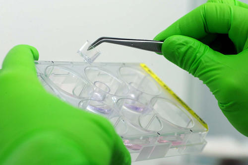 Möglicher Einsatz von Nano-Materialien in der Medizin: bei der Herstellung von Medikamenten, Diagnostika sowie medizinischen Geräten