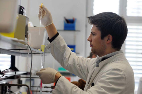 Am Zentrum für Supramolekulare Interaktionen arbeiten Wissenschaftler mit Molekülen im Nanomaßstab.
