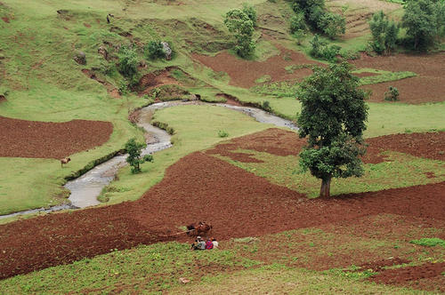 Einsetzende Bodenerosion infolge Intensiver Nutzung eines Flusstales in Äthiopien für Acker- und Weidewirtschaft