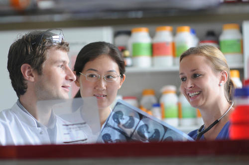 Erfolgreiche "BSIO – Berlin School of Integrative Oncology": Forscher aus der Hämatologie, Onkologie, Genetik, Biochemie, Chirurgie, Radiologie, Informatik sowie den Sozial- und Geisteswissenschaften erarbeiten Strategien gegen Krebs.