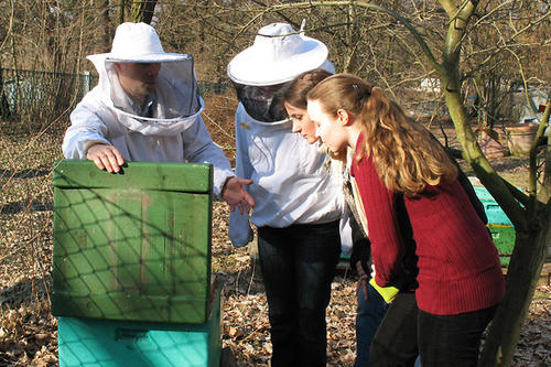 Öffnen der "Bienenbeute": Prof. Dr. Ralf Einspanier erklärt den Doktorandinnen Katrin Mießen (mit Imker-Schutz), Katja Hasse und Martina Bittel (v.l.n.r.) den Aufbau eines Stocks