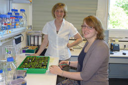 Prof. Dr. Tina Romeis und Doktorandin Heike Seybold haben die Mechanismen bei der Reizweiterleitung in Pflanzen entschlüsselt.