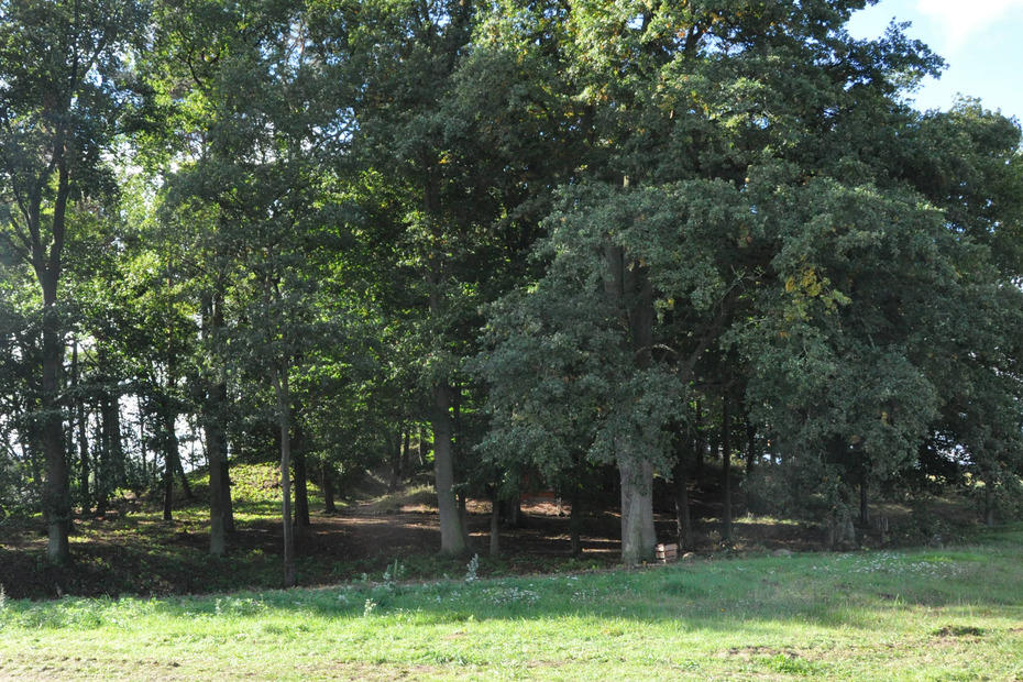 Der Grabhügel bei Seddin