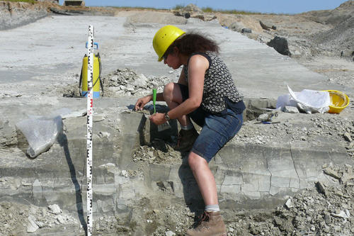 Annette Kossler ist als Paläontologin von der Freien Universität Berlin an den Grabungen in Jänschwalde beteiligt.