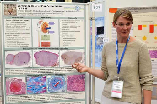 Einer der größten Tierpathologenkongresse wurde Ende August vom Institut für Tierpathologie der Freien Universität mitveranstaltet. Auch Doktorandin Kristina Dietert stellte dort ihre Arbeit vor.