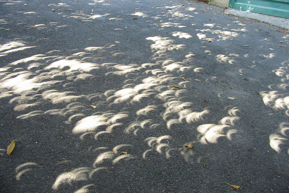Ganz ohne Risiken das Naturschauspiel erleben: Fällt das Licht während der partiellen Sonnenfinsternis durch Löcher im Papier oder ein Blätterdach wie auf dem Foto, entstehen sichelförmige Lichtflecken.