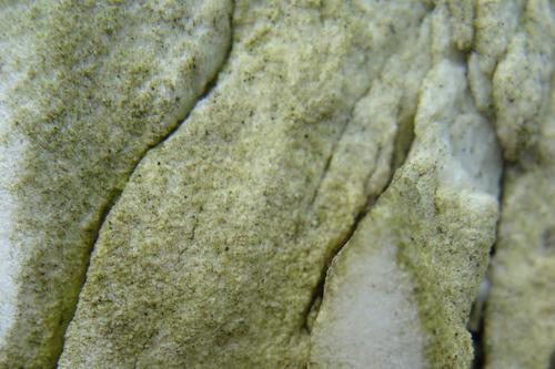 Microorganisms settle on and degrade the stone.