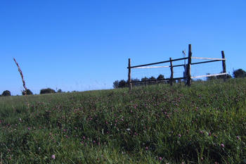 Grassland space at the Hainich-Dün exploratory with a fenced-in weather station.
