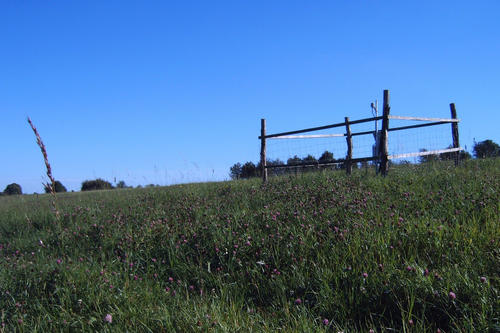 Grassland space at the Hainich-Dün exploratory with a fenced-in weather station.