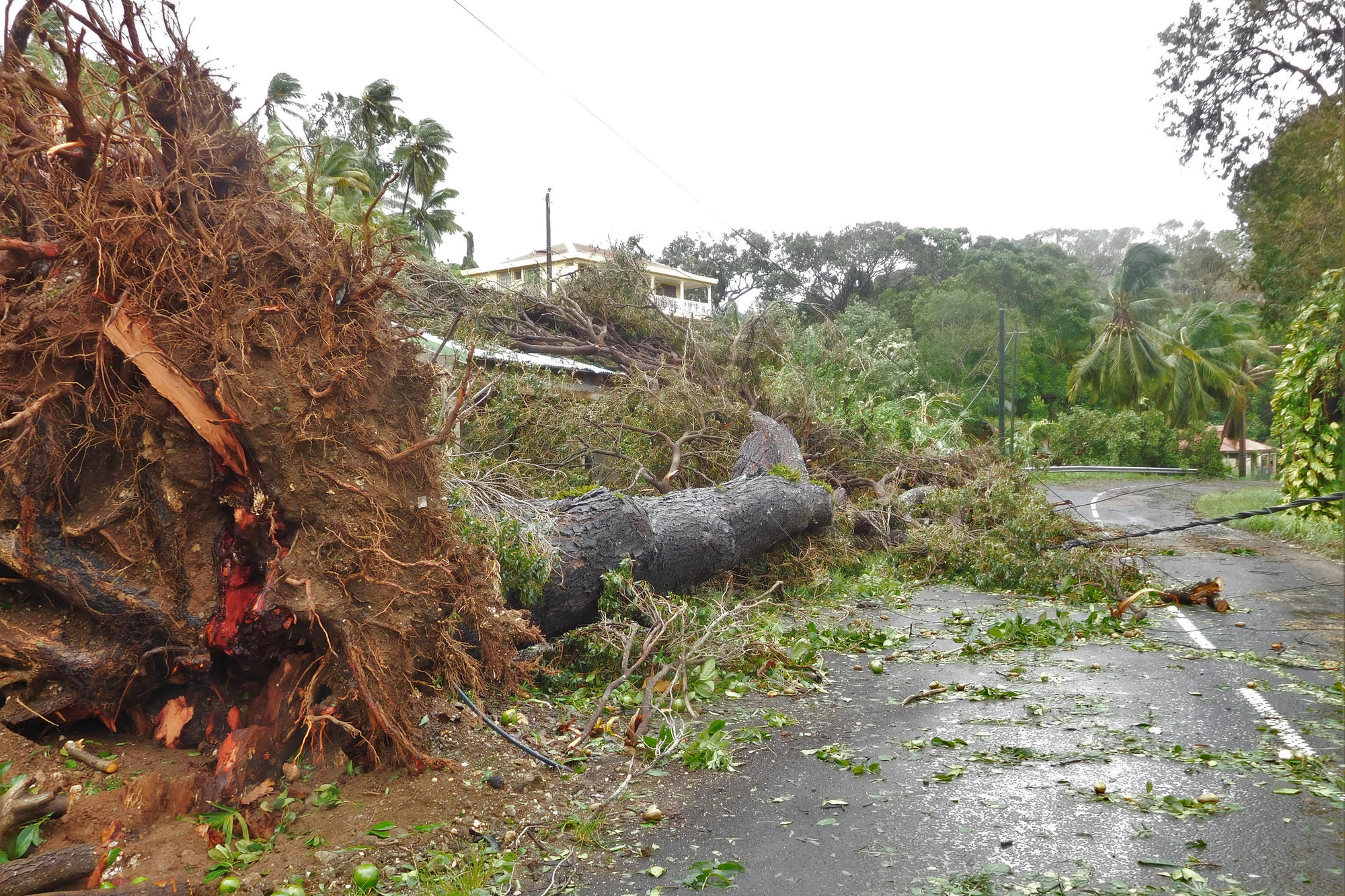 Auswirkungen von Hurricane Maria in Guadeloupe im September 2017.