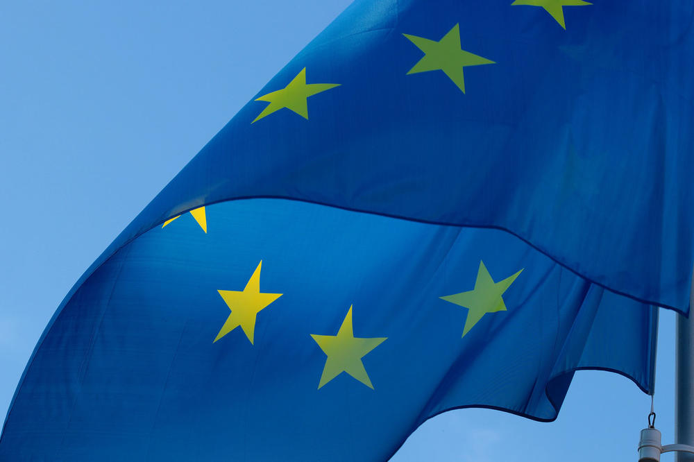 Flagge zeigen – die in dieser Woche stattfindende Wahl zum Europäischen Parlament hat nicht nur angesichts des steigenden Populismus' große Bedeutung. Gewählt werden 751 Abgeordnete.