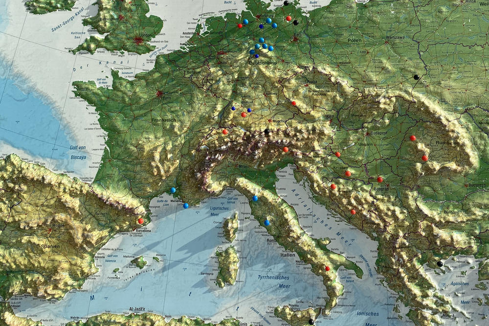 43 Buchenarten aus ganz Europa wachsen im Forschungswald.