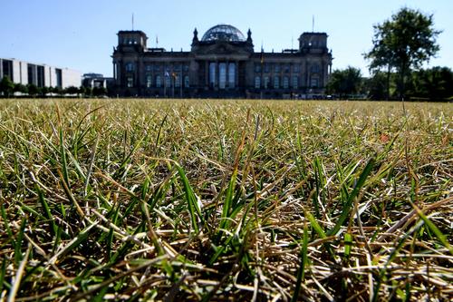 vertrocknetes Gras in Nahaufnahme, Berliner Reichstagsgebäude unscharf im Hintergrund