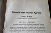 Im Jahr 1865 veröffentlichte Gregor Mendel einen Aufsatz über Vererbungsregeln in einem Sammelband des Naturforschenden Vereines in Brünn. Eine Erstausgabe wird im Albrecht-Thaer-Weg gehütet.