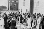 Internationaler Kongress für Genetik 1927 in Berlin. Besuch einer Demonstration im Institut für Vererbungsforschung
