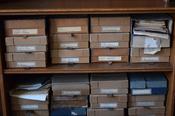 Überraschende Entdeckung: Vor einigen Jahren fand die technische Assistentin Cordula Braatz in einem vergessenen Winkel des Instituts Hunderte Dokumente aus dem wissenschaftlichen Nachlass von Elisabeth Schiemann.