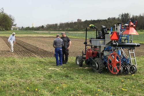 Gemeinsam mit Agroscope werden die Gerstenpflanzen auf der „Protected Site“, einer speziell für solche Versuche ausgewiesenen Fläche, untersucht.