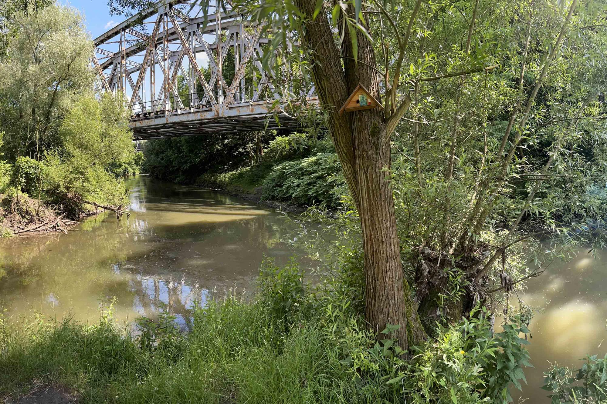 An derselben Stelle, am ehemaligen Dreikaiserreichseck, im heutigen Polen (Juni 2025)