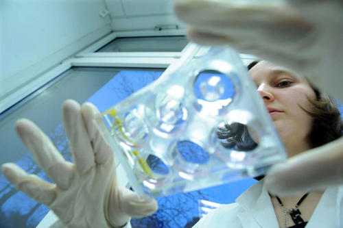 Forscherin am Institut für Pharmakologie und Toxikologie  des Fachbereichs Veterinärmedizin