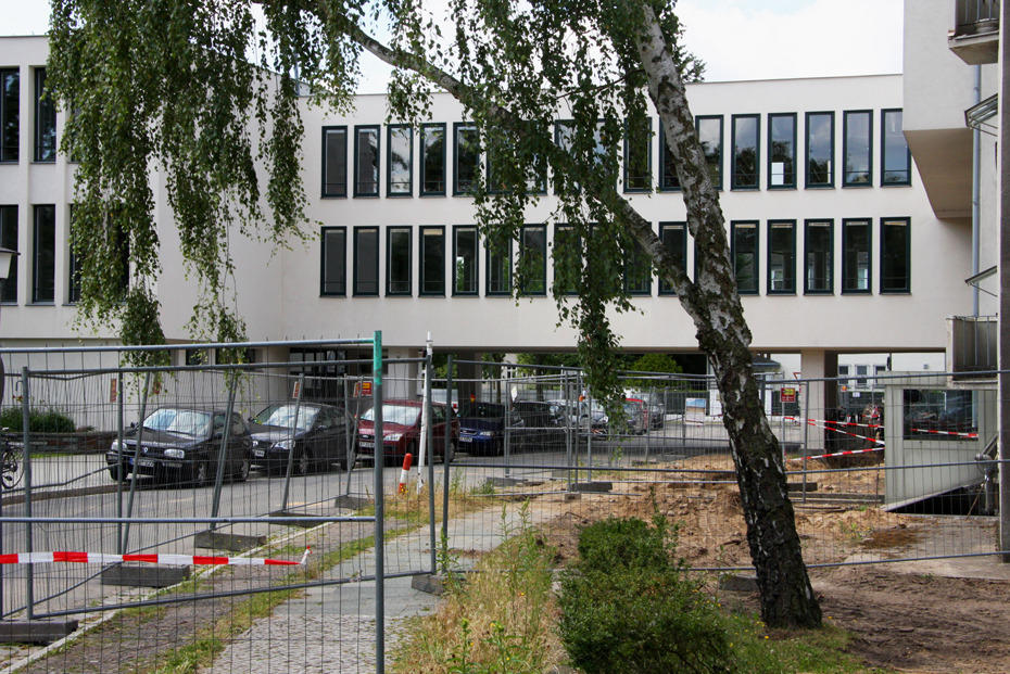 Der Fundort im Sommer: In der Harnackstraße stießen Bauarbeiter bei Sanierungsarbeiten auf Knochen.