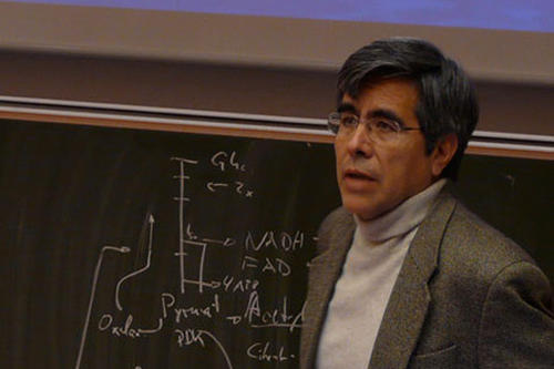 Der Informatiker Professor Dr. Raúl Rojas erhielt den E-Learning-Preis 2009 in der Kategorie "Multimediale Lernmaterialien und Lernumgebungen"