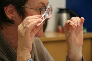 Learning by doing: before the students take a closer look at a bee, the teacher tries it first.