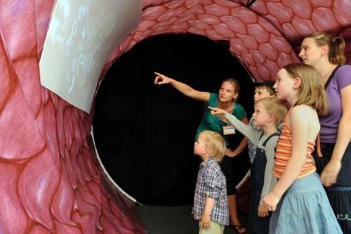Im Finale 2008 setzte sich die "Begehbare Arterie" des Rudolf-Virchow-Zentrums aus Würzburg durch