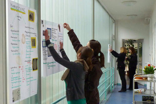 Vielfalt nutzen: Studierende und Promovenden lernen im Rahmen einer von der Veterinär-Biochemikerin Dr. Jennifer Schön konzipierten Lehrveranstaltung gemeinsam.