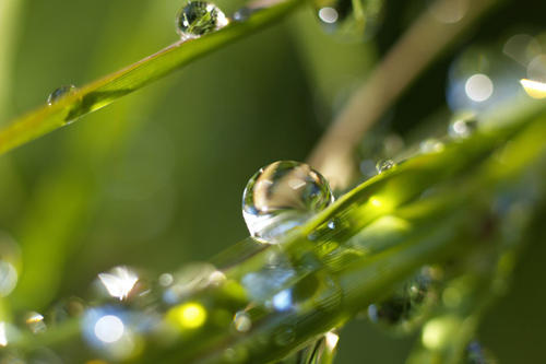 Nachhaltiges Wassermanagement gehört zu den größten Herausforderungen des 21. Jahrhunderts.