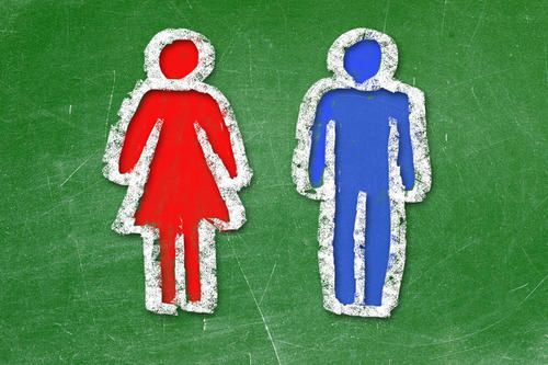 Im laufenden Wintersemester werden 70 Veranstaltungen an der Freien Universität angeboten, die einen Gender-Bezug haben. Gebündelt werden die Aktivitäten im Bereich der Frauen- und Geschlechterforschung am ZEFG.