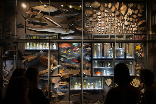Erstmals fand die Veranstaltung außerhalb der Universität statt, im Museum für Naturkunde in Berlin-Mitte.