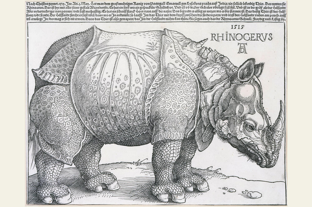 Albrecht Dürer: Das Rhinozeros, 1515. Holzschnitt