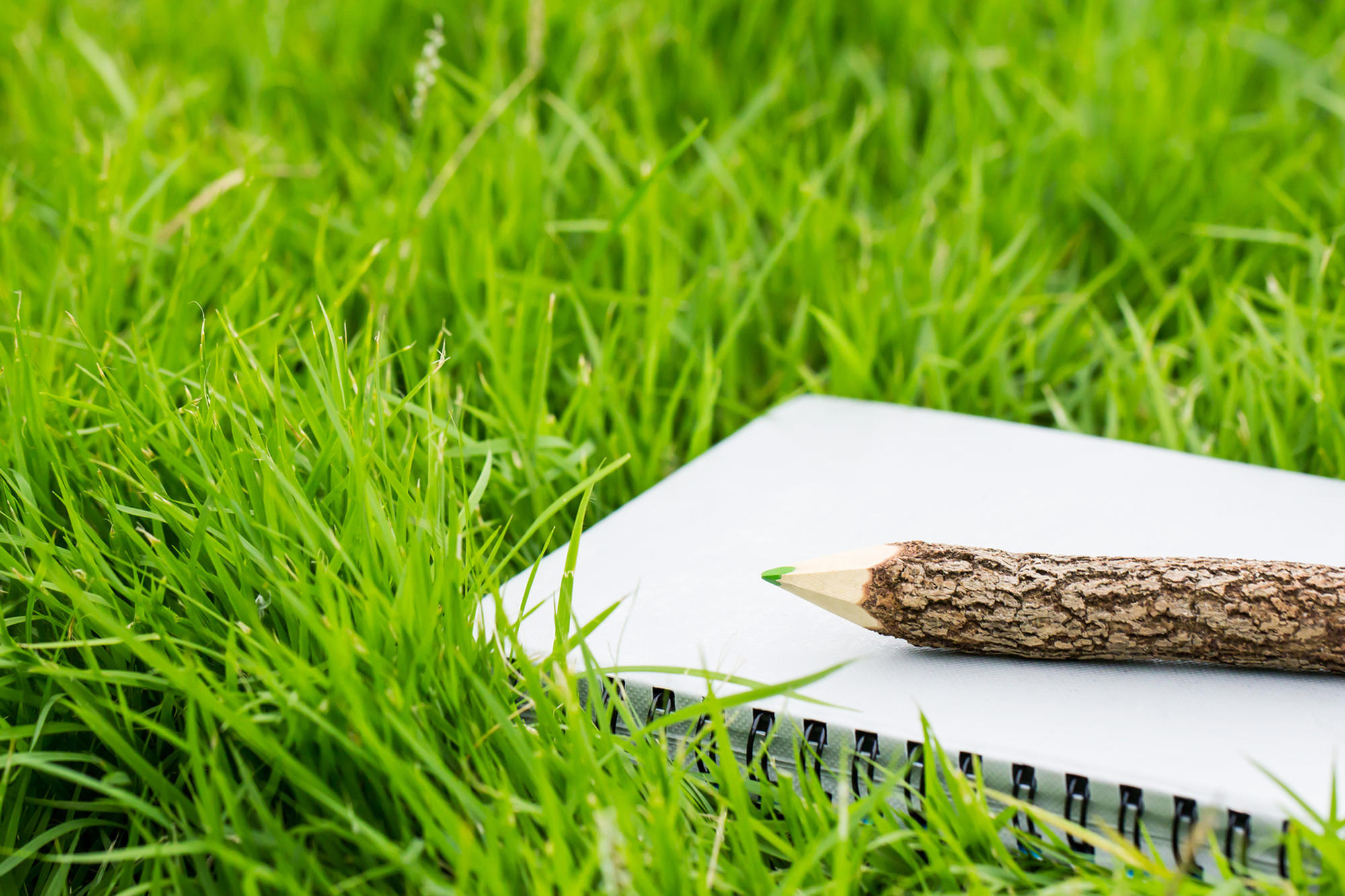 Für den Workshop „Nachhaltigkeit in der eigenen Lehre" sind noch Plätze frei.