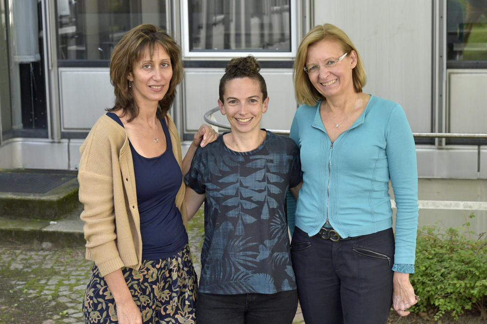 Linguistikprofessorin Ori Schachmon (li.) und Englisch- und Hebräischlehrerin Chaya Fischer (Mi.) von der Hebrew-University gemeinsam mit der Direktorin des Sprachenzentrums der Freien Universität Dr. Ruth Tobias (re.).