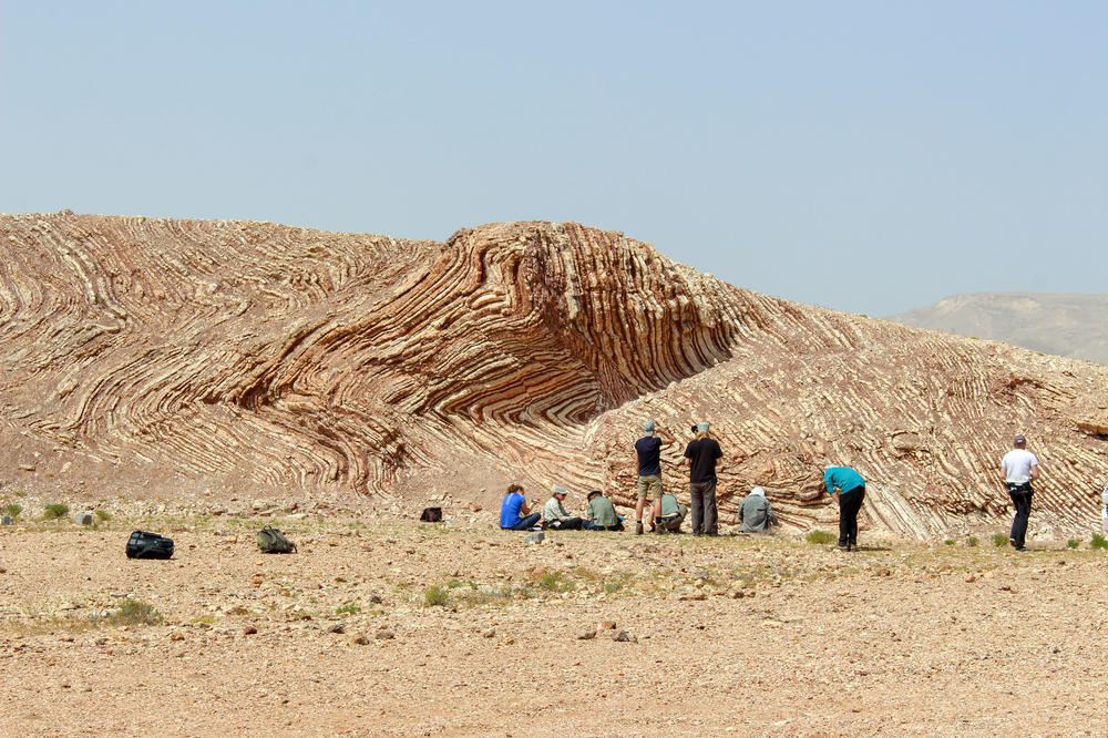 Wegen des trockenen Klimas in Oman sind Gesteinsverfaltungen wie bei der "Mutter aller Aufschlüsse" perfekt zu sehen.